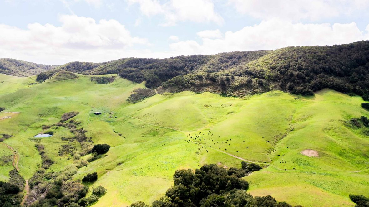 A Photo Story: From the Land